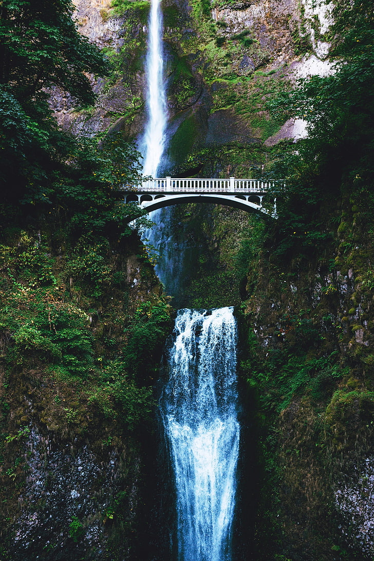 728x1092 HD wallpaper: white wooden bridge, nature, water, trees, waterfall, flowing water