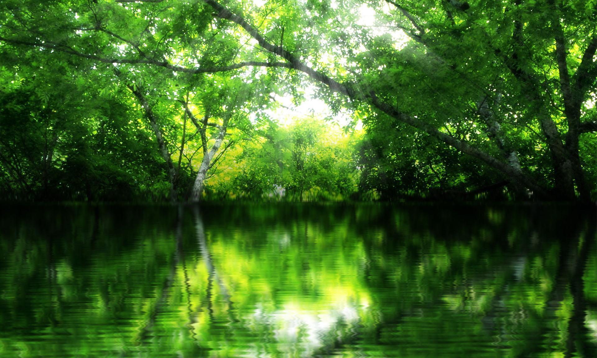 1920x1152 Free beauty, trees Full HD wallpaper for desktop and phone