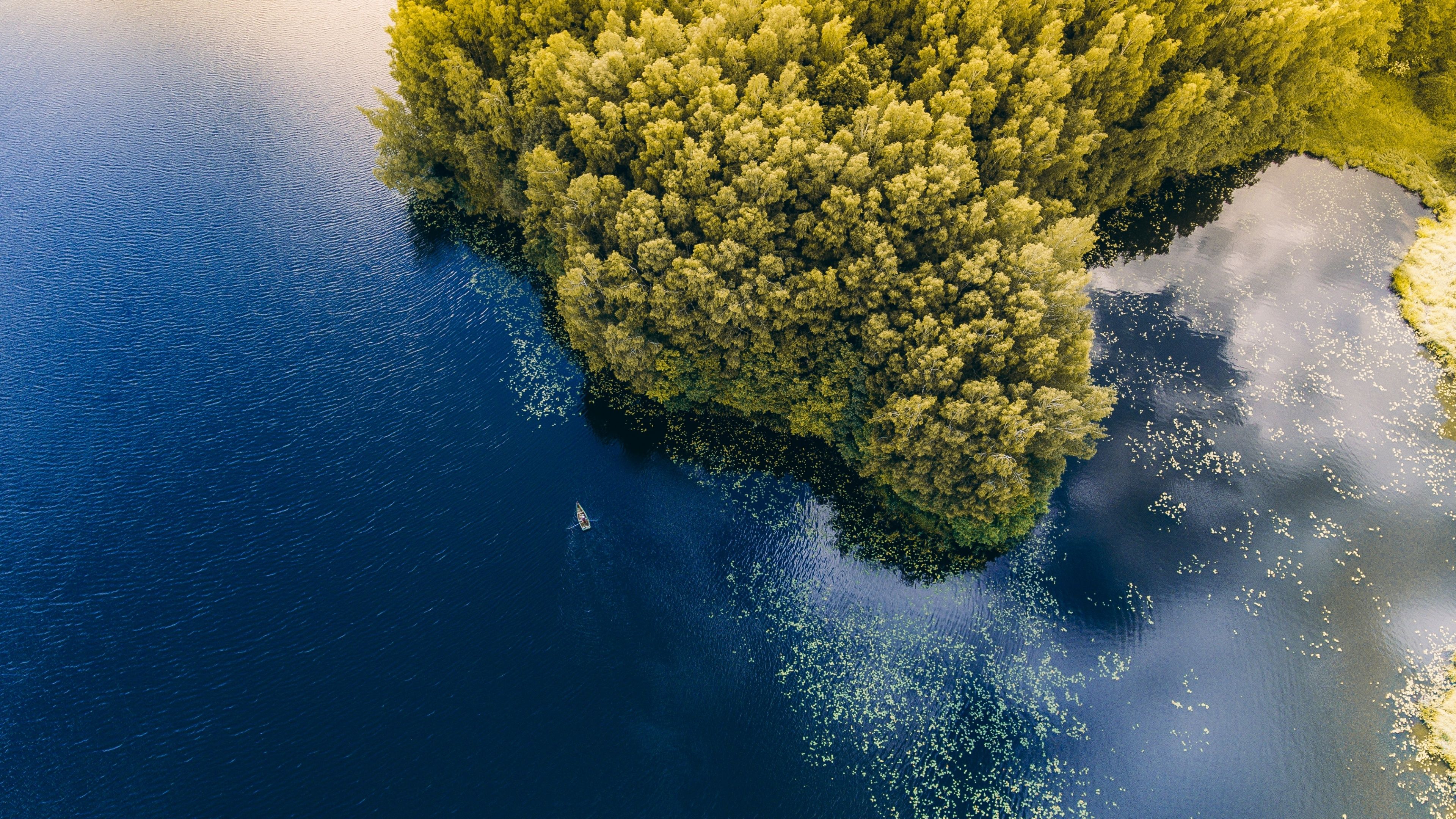 3840x2160 Green Forest Wallpaper 4K, Trees, Aerial view, Body of Water