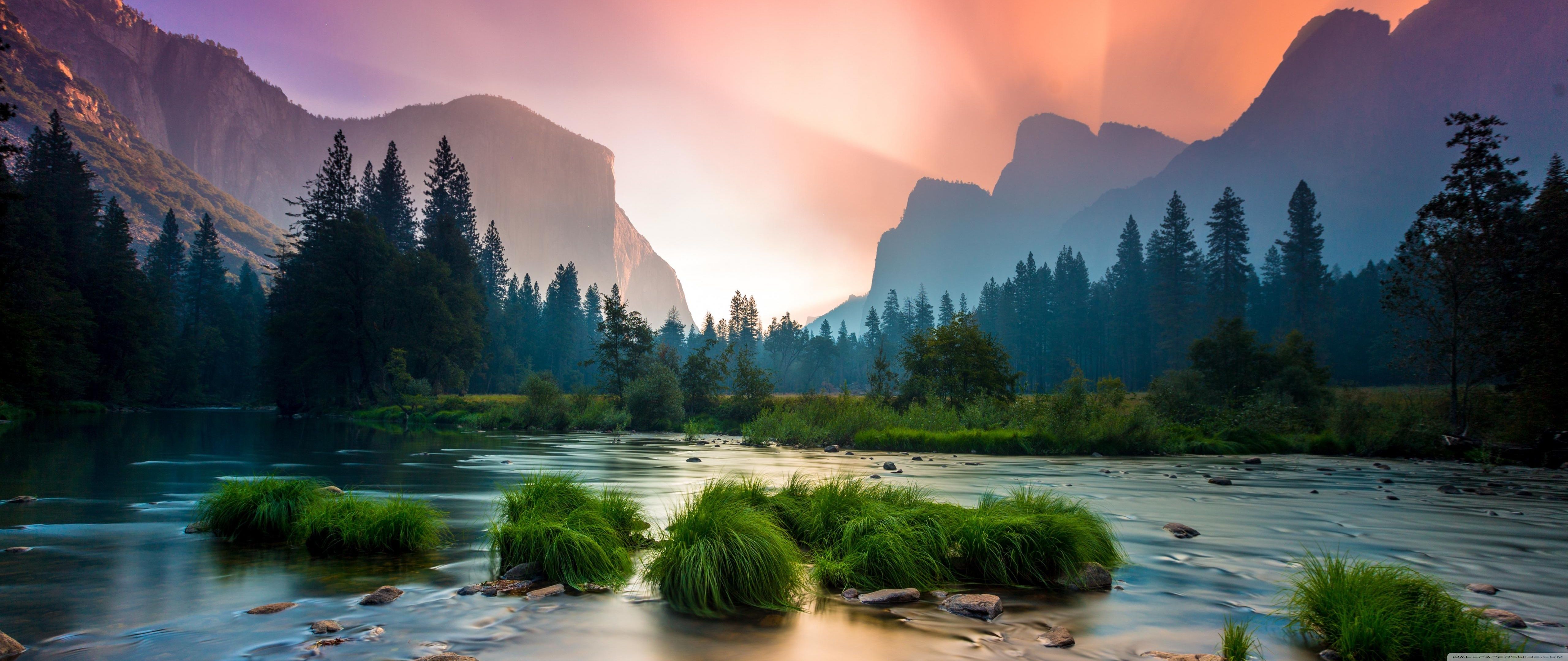 5120x2160 Yosemite Valley, Clumps Of Grass, Flowing Water, Pine Trees, Wilderness 4K UHD Wallpaper for UltraHD Desktop and TV : Widescreen and UltraWide Display