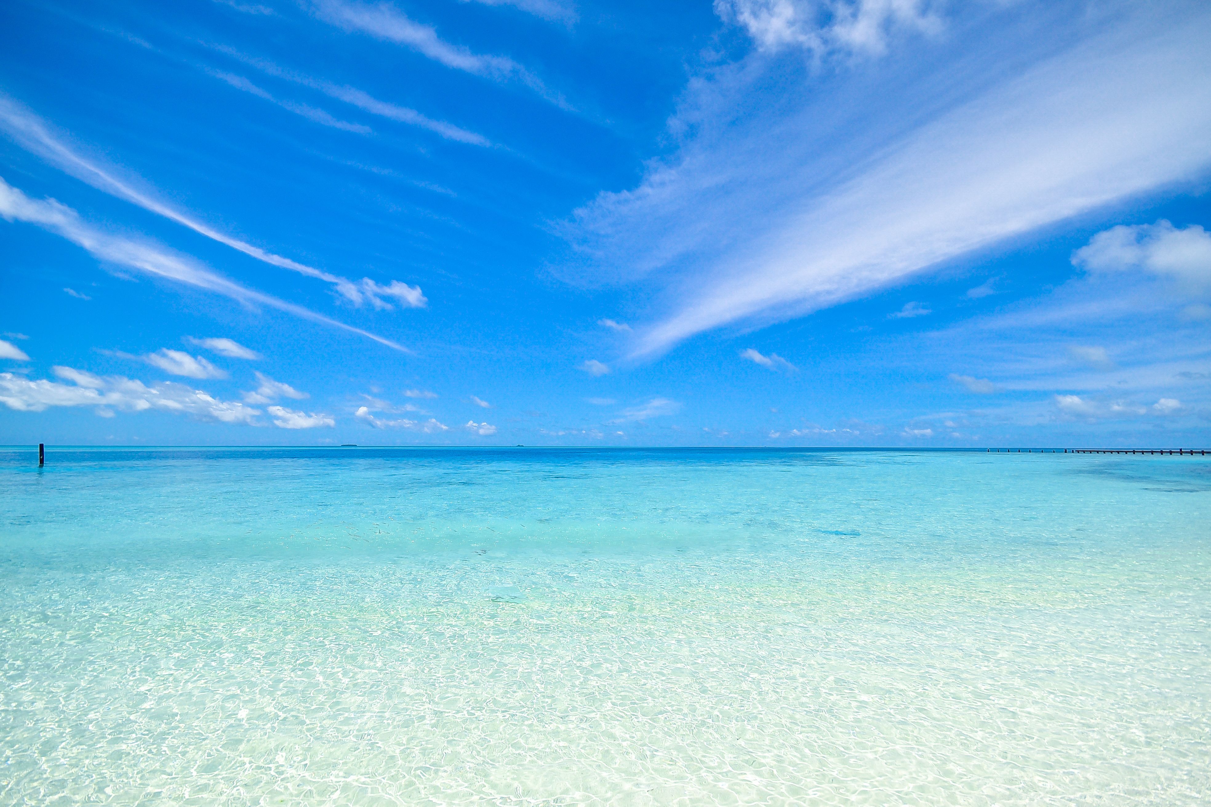 3936x2624 Clear Blue Shore · Free