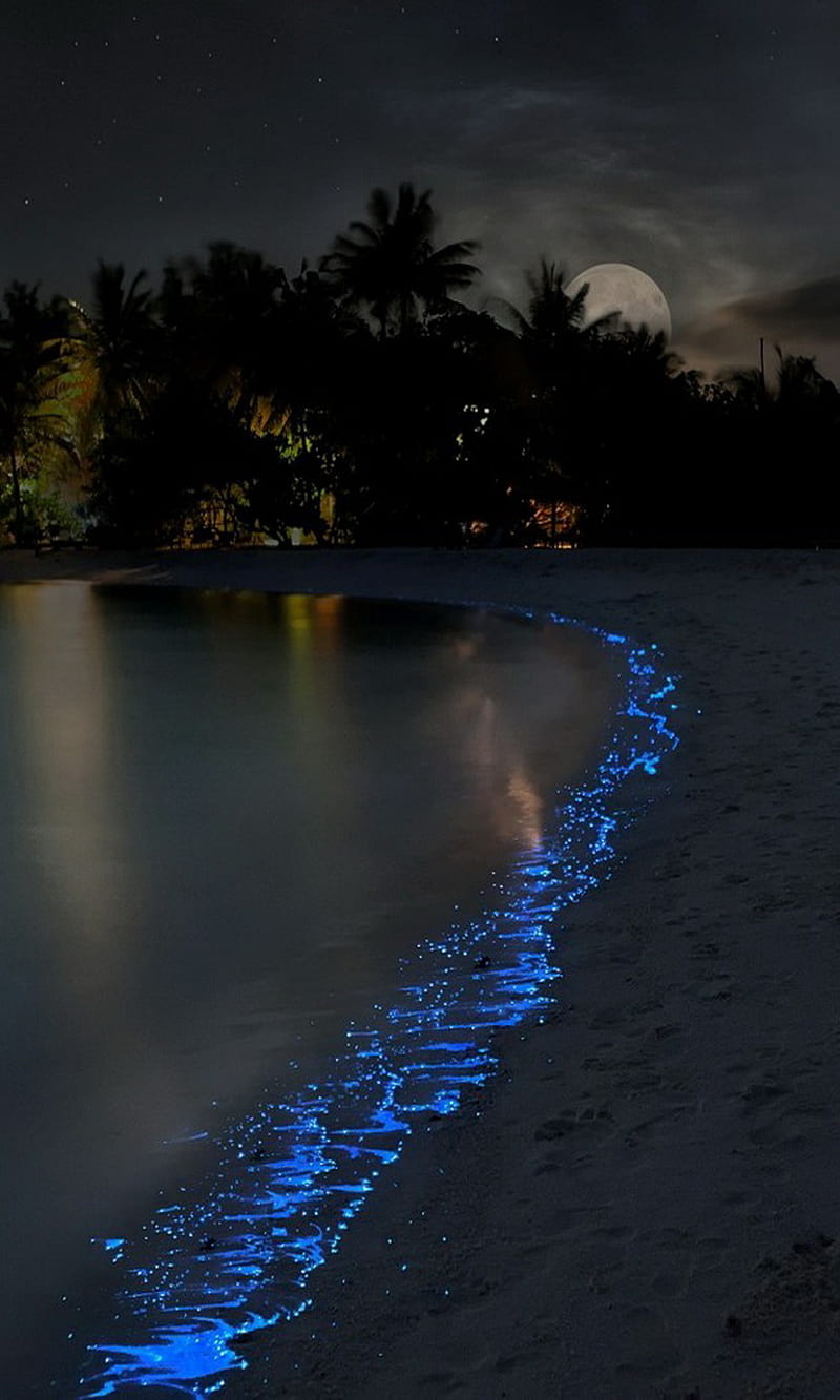 800x1333 Blue Shore, night, sand, sea, water, waves, HD phone wallpaper
