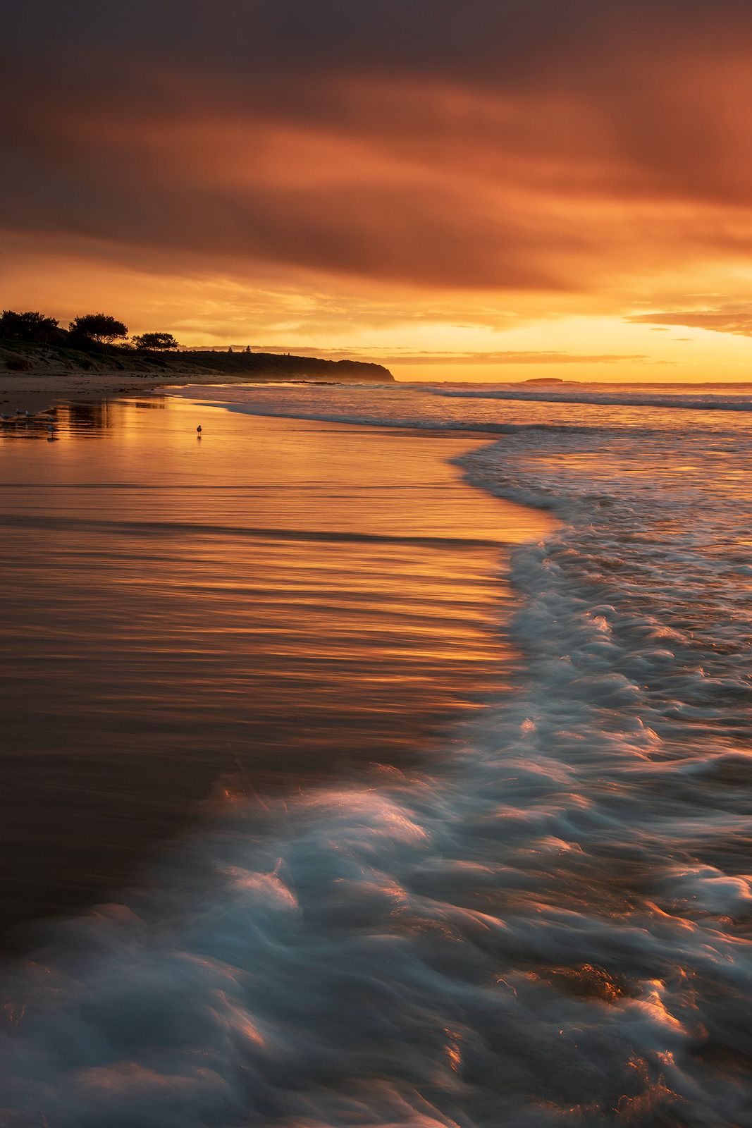 1067x1600 ITAP of the flowing wave on sunrise in Newcastle, Australia