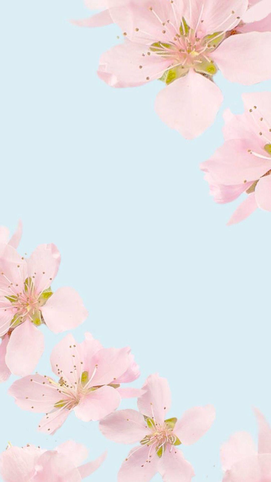 1080x1920 Flowers Pastel Cute iPhone Background .