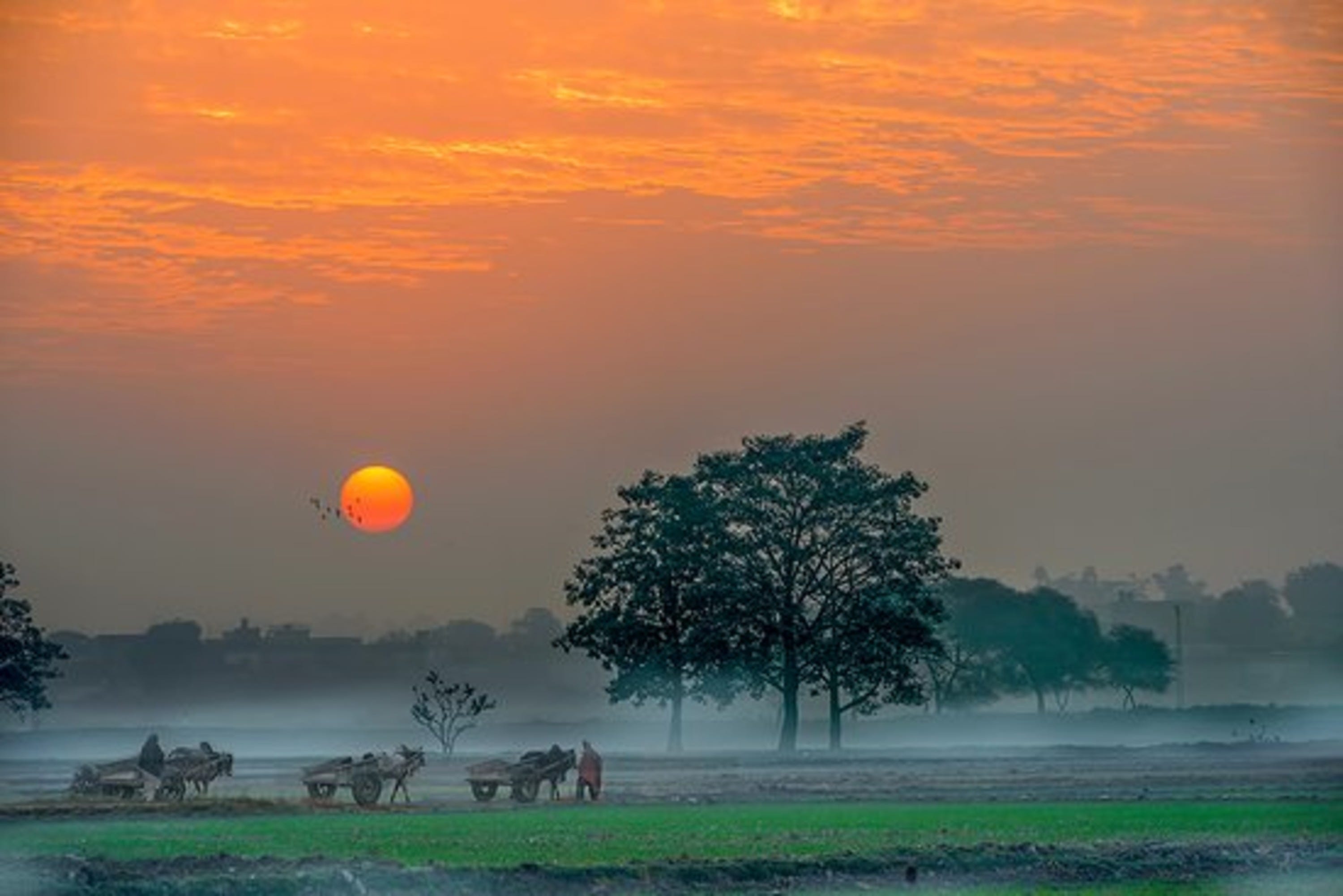 3000x2002 My Village Life In Pakistan(Part 1). By Muhammad Nasrullah Khan. Show Your City
