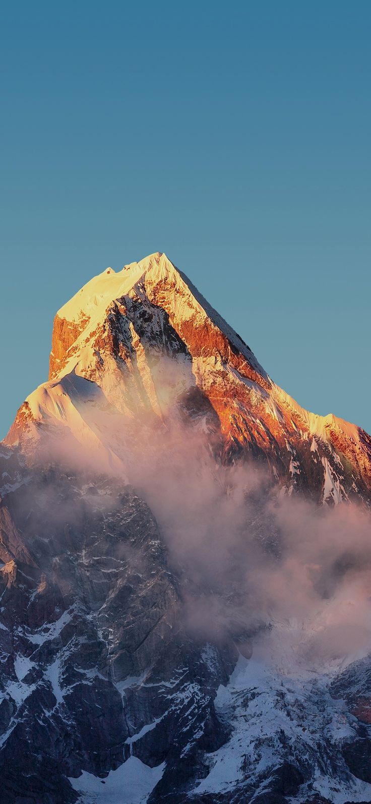 736x1594 Miui 12.5 Wallpaper