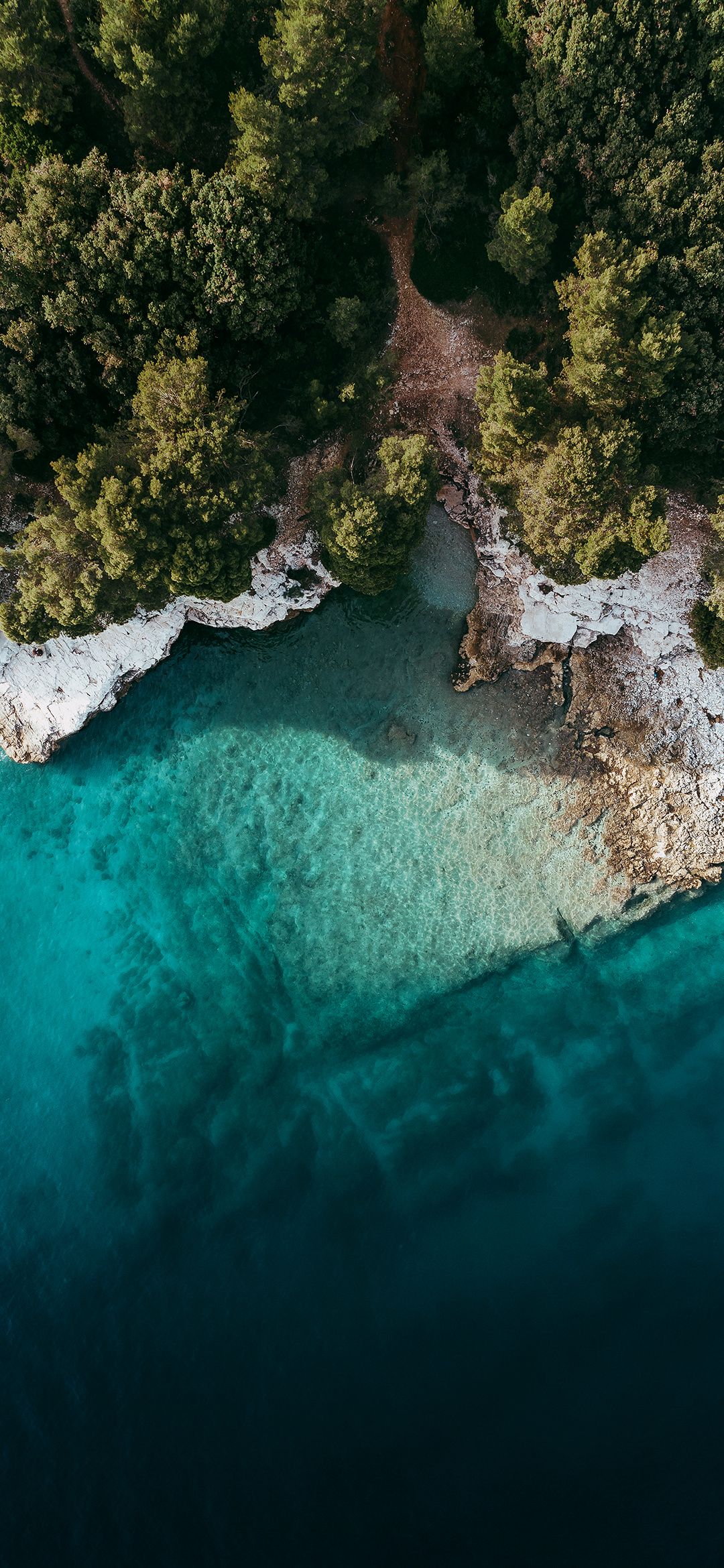 1080x2340 Miui 12 stock wallpaper (high resolution)