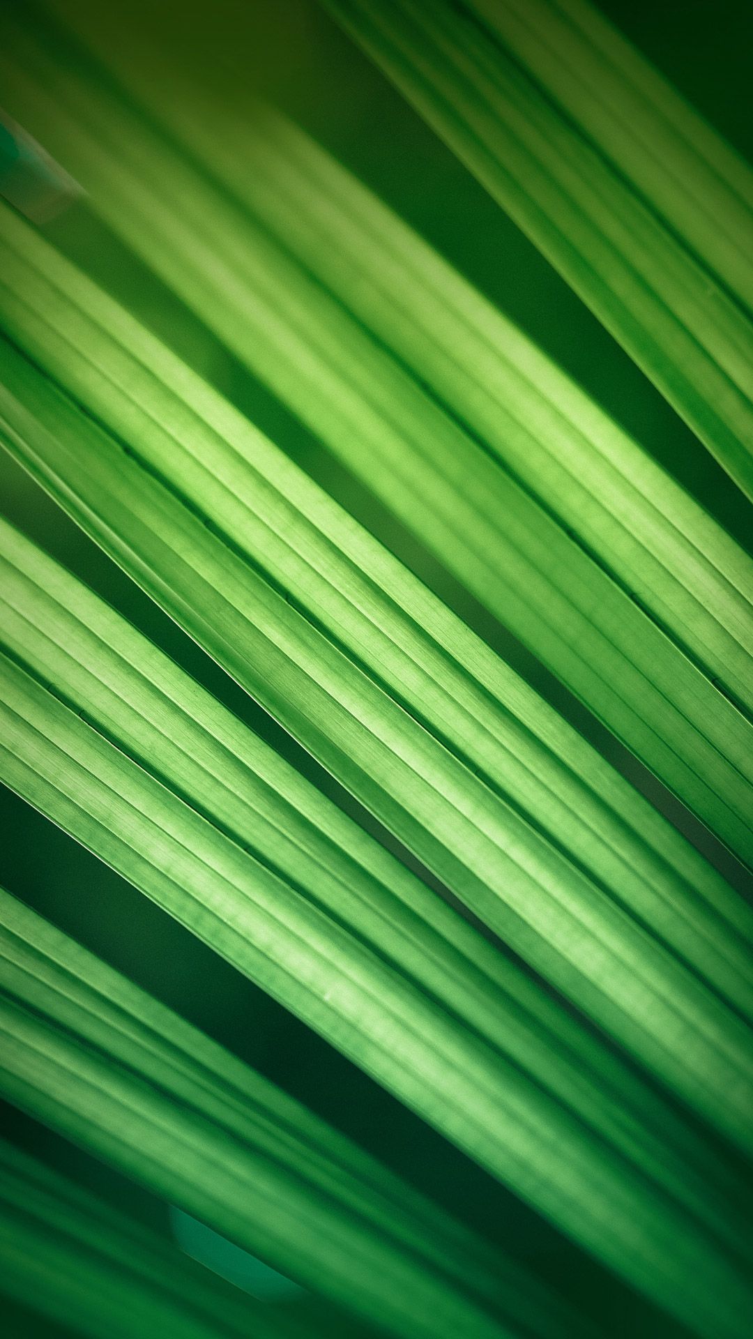 1080x1920 Download MIUI 7 Official Stock Wallpaper