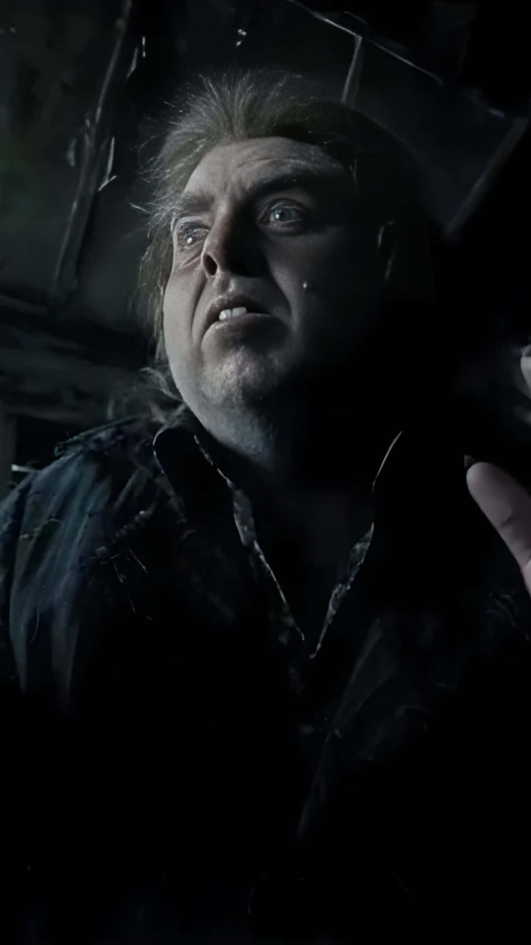 1080x1920 Download Peter Pettigrew Revealed Wallpaper