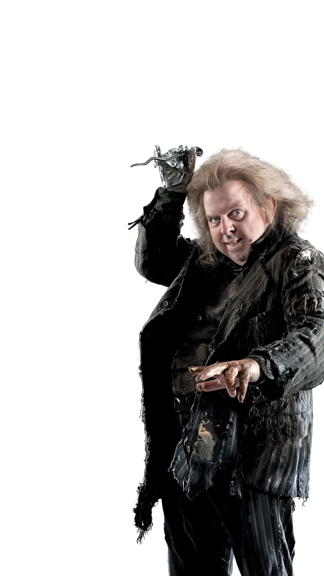 1080x1920 Download Peter Pettigrew Character Profile Wallpaper