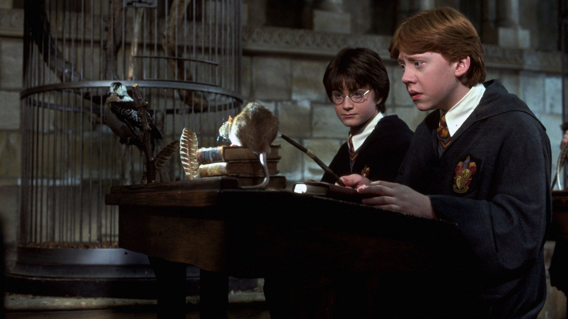 1920x1080 Chamber of Secrets HD: Harry Potter & Ron Weasley vs. Peter Pettigrewx1080