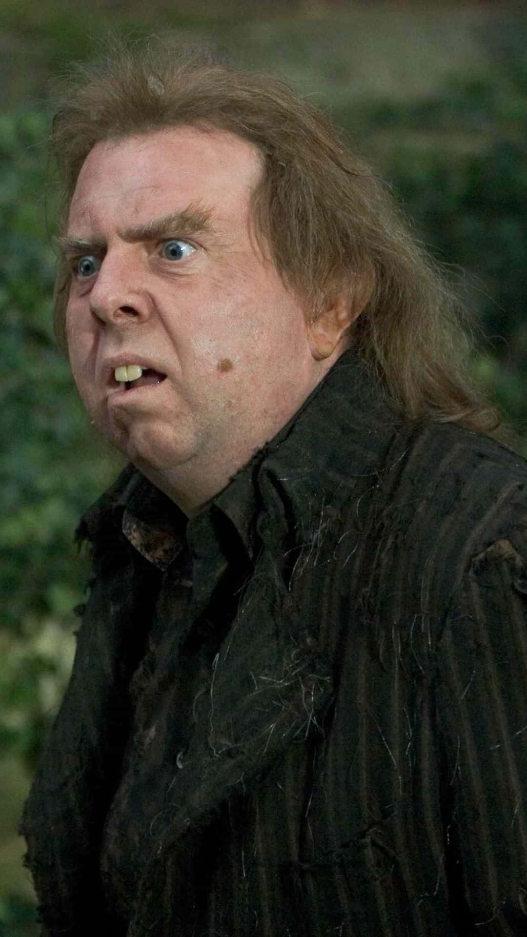 1080x1920 Download Peter Pettigrew Character Portrait Wallpaper