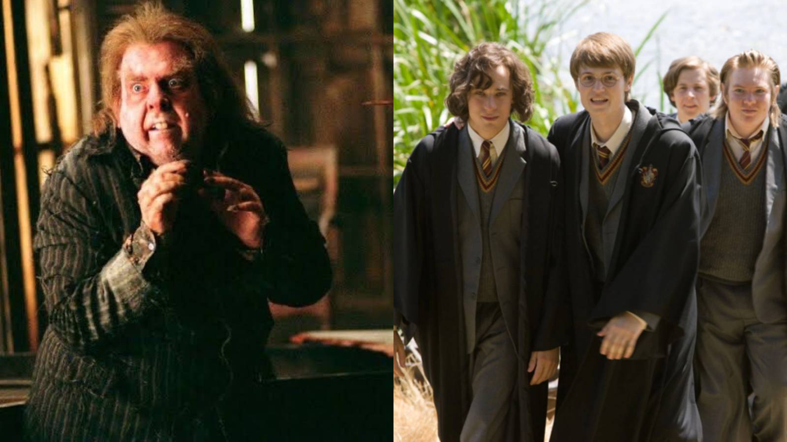 1600x900 Harry Potter: 9 Things Only Book Fans Know About Peter Pettigrew