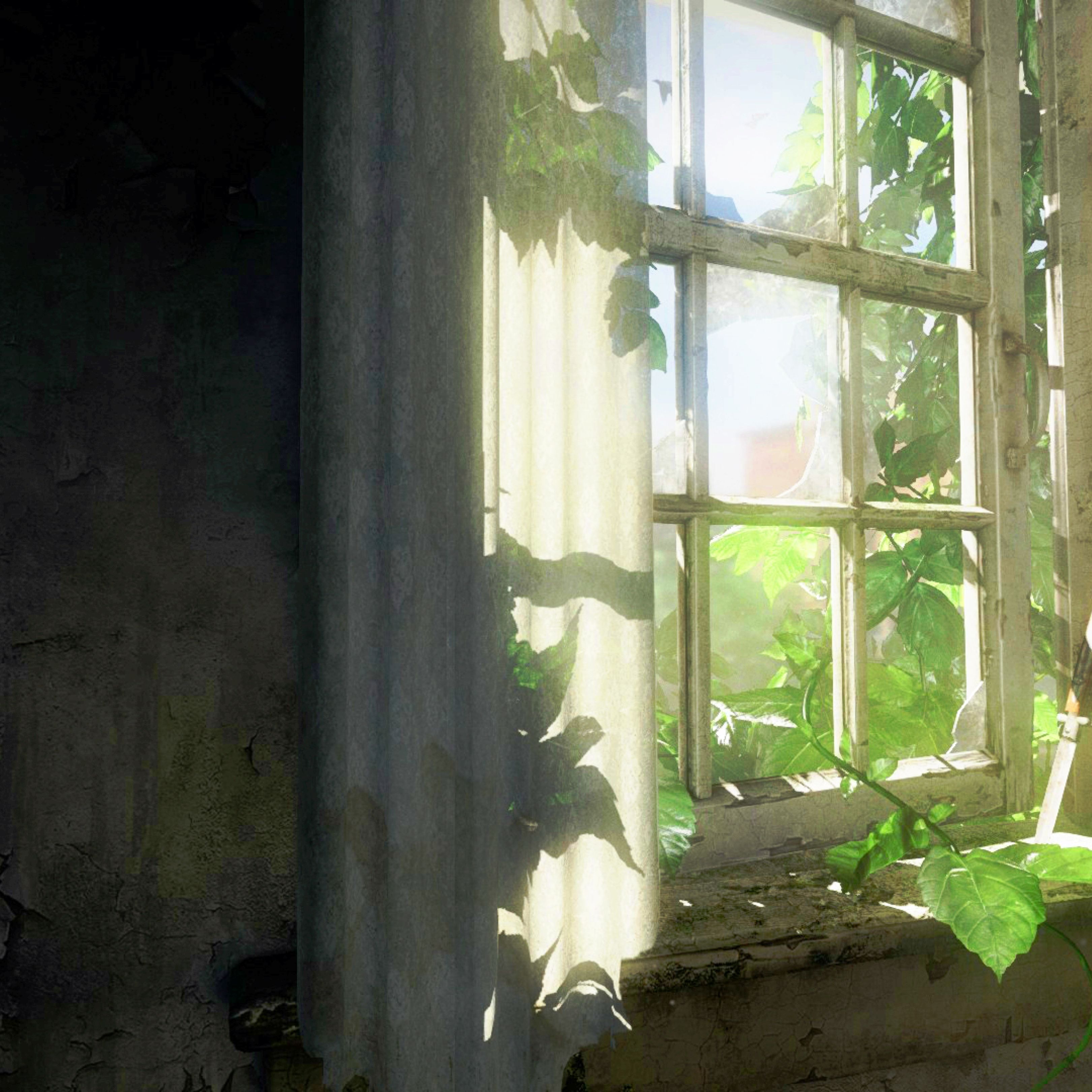 3240x3240 The Last Of Us Window Wallpaper
