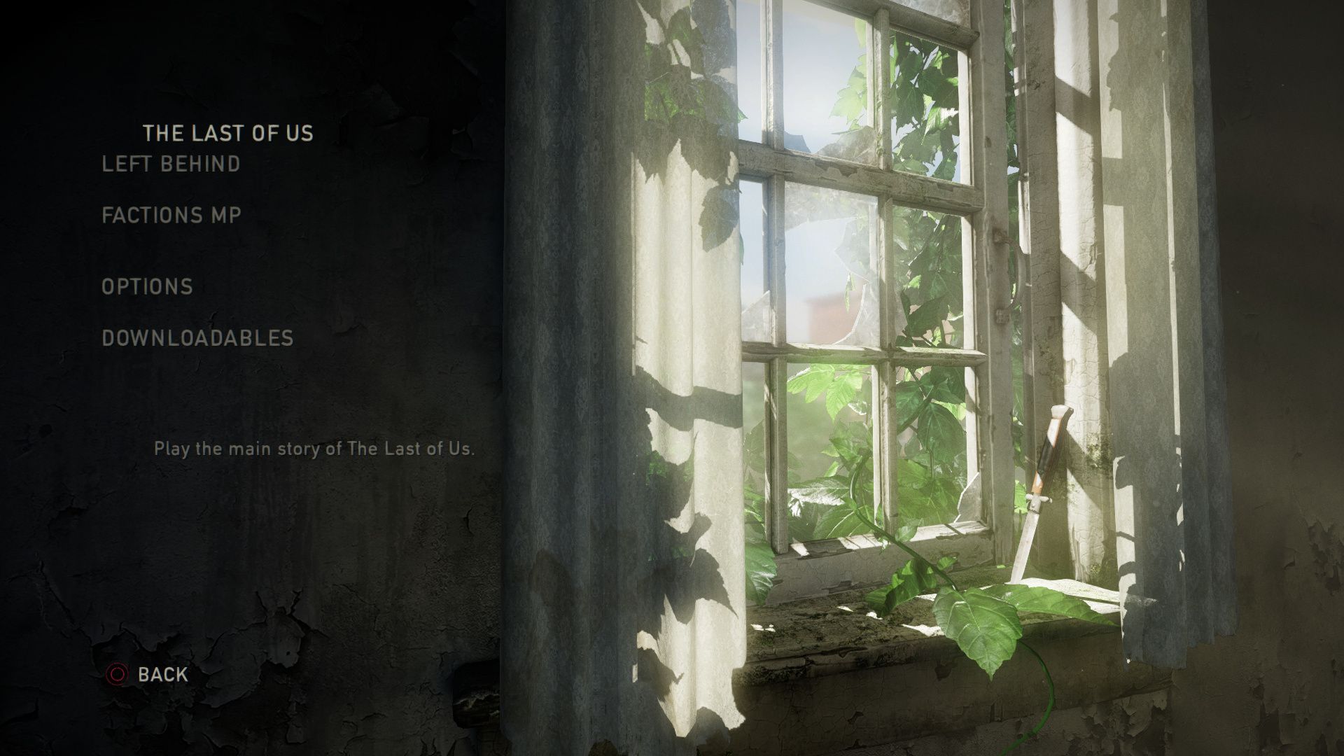 1920x1080 The Last Of Us Window Wallpaper