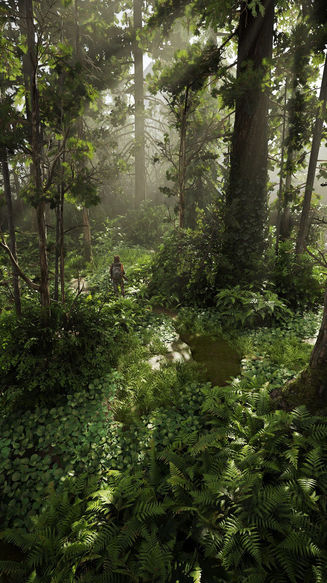 1080x1920 Discover 68 The Last of Us & TLOU 2 Wallpaper and the last of us game wallpaper ideas. the last of us last of us, the last of us HD wallpaper and more