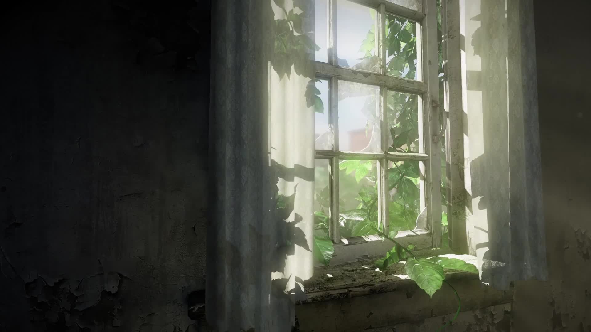 1920x1080 The Last Of Us Live Wallpaper