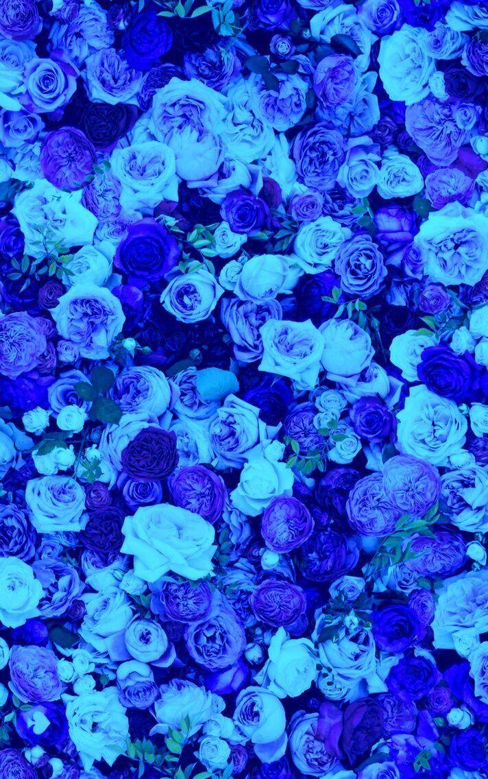 712x1136 Blue Roses iPhone Wallpaper