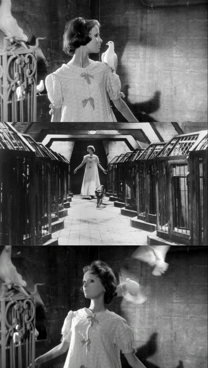 680x1200 eyes without a face