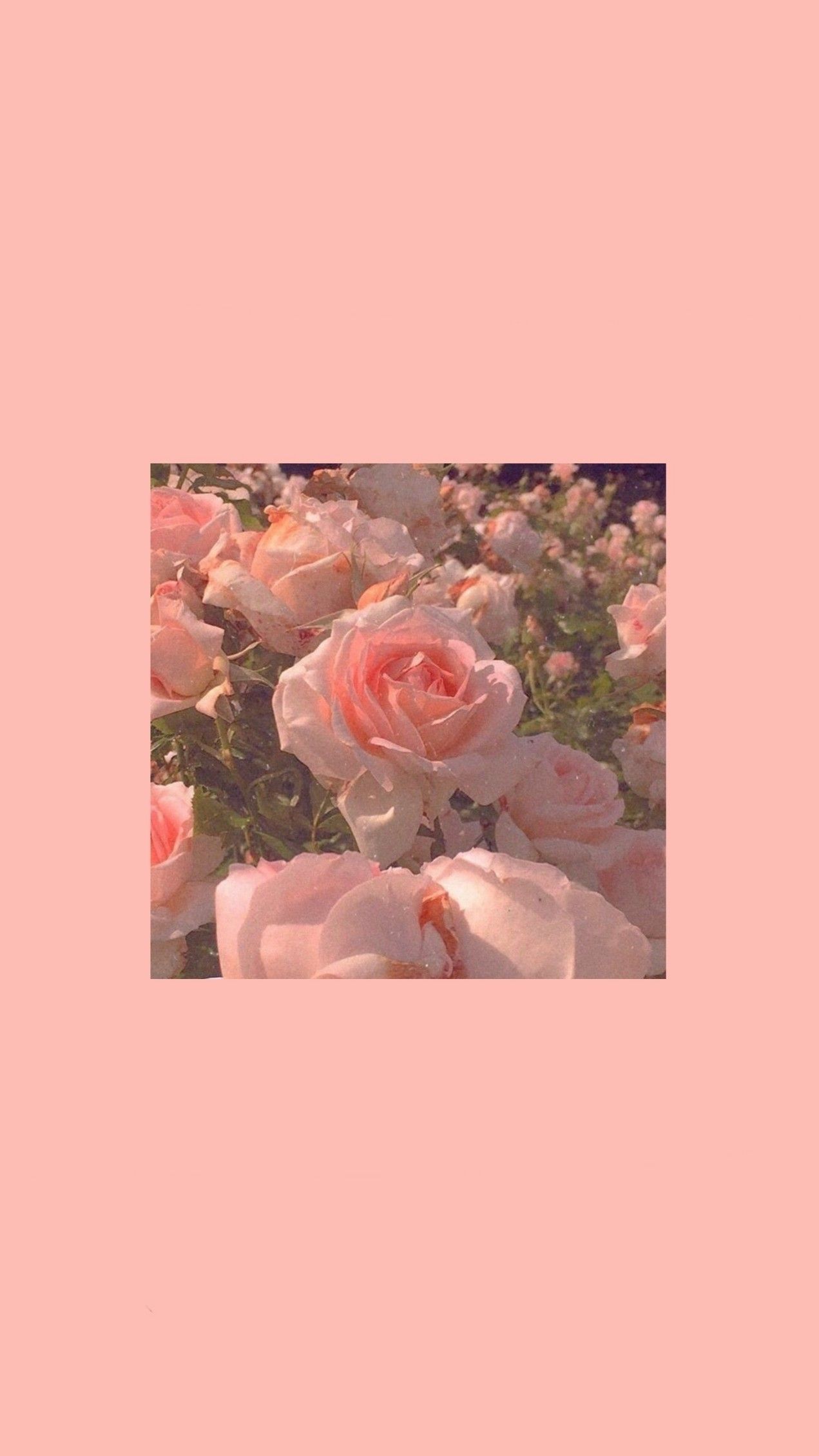 1271x2259 aesthetic background wallpaper. Collage background, Pink wallpaper iphone, Cute wallpaper