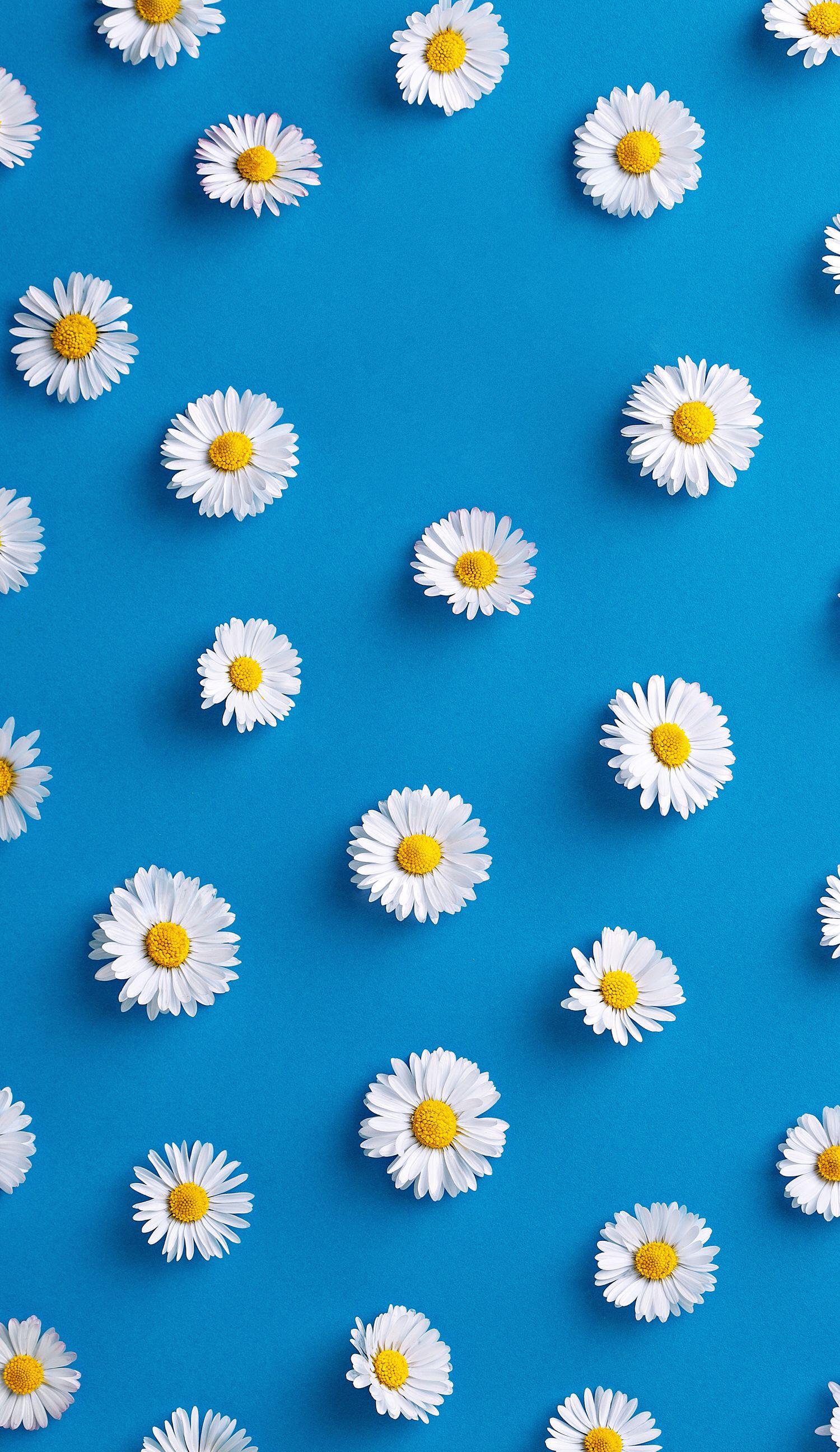 1500x2592 Cute Blue iPhone Wallpaper