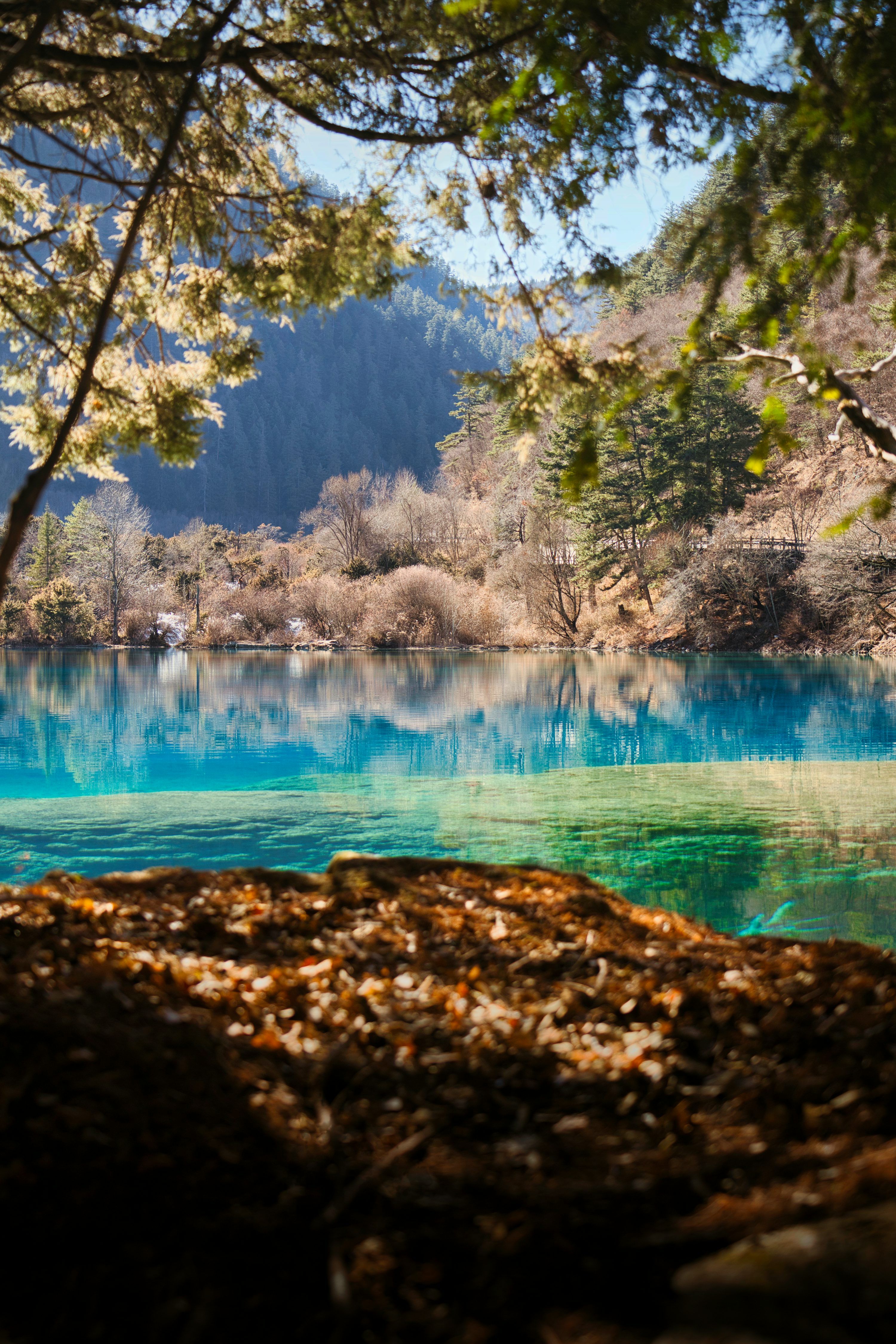 3000x4500 Jiuzhaigou Picture. Download Free Image