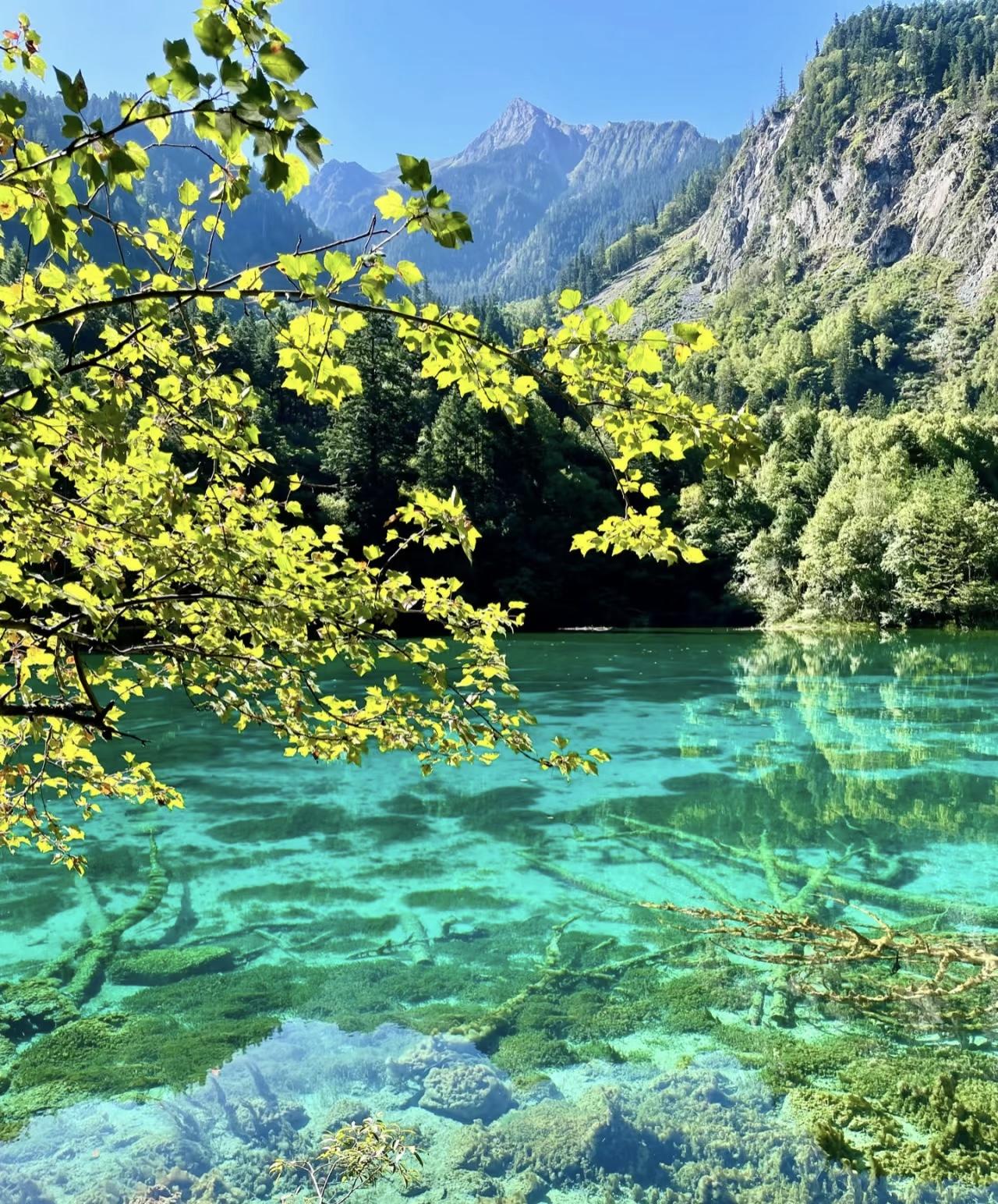 1280x1544 Visiting Jiuzhaigou felt like stepping into a painting