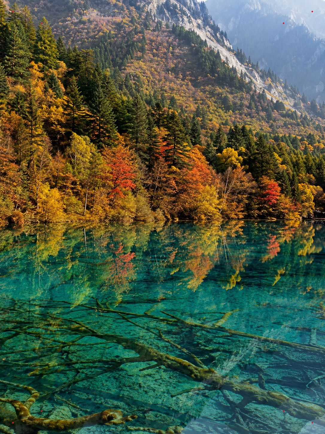 1086x1448 Jiuzhaigou: See blue, green, gold, and snow in one trip. Trip.com Jiuzhaigou