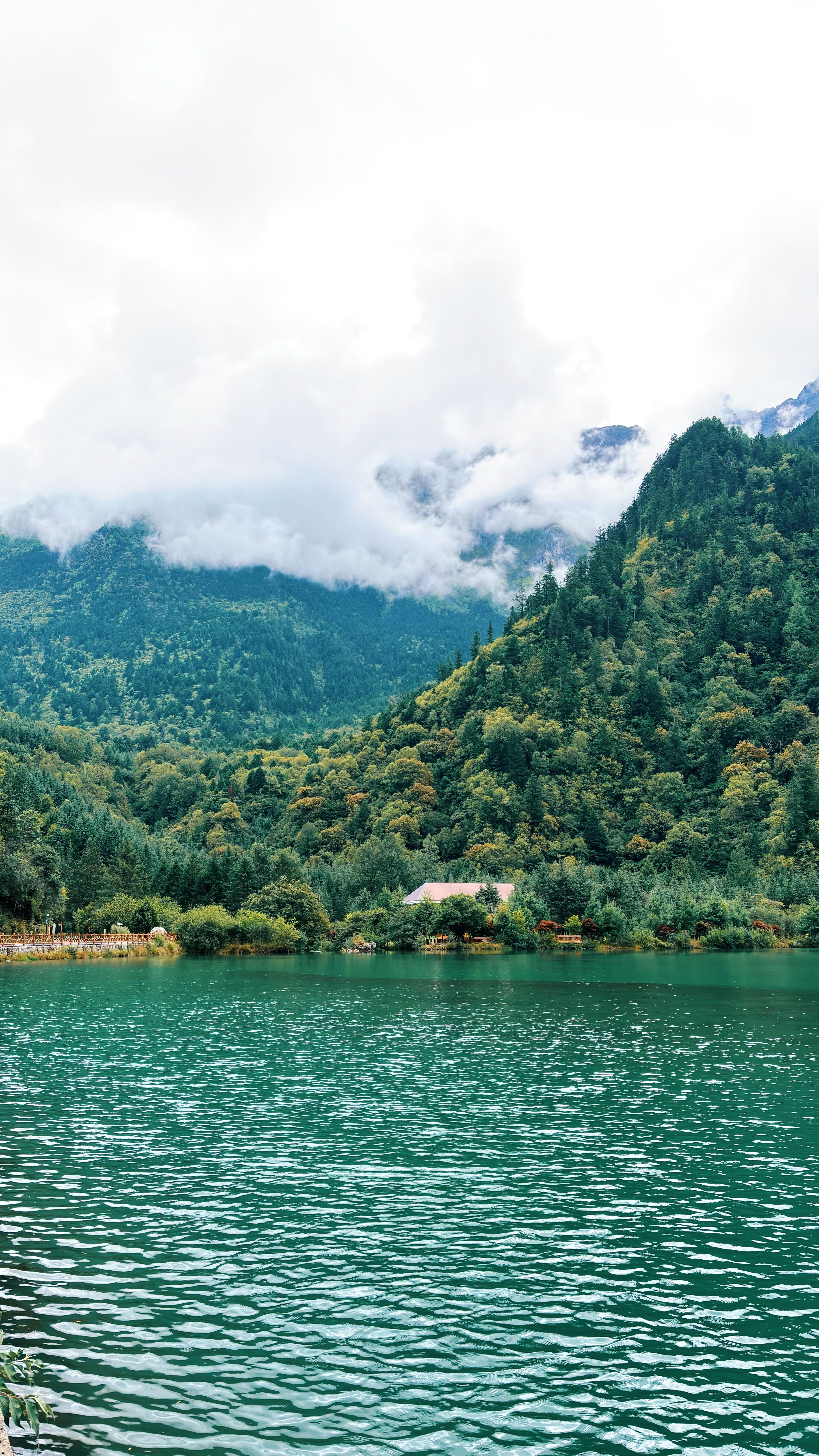 4536x8064 Scenic View of Jiuzhaigou Valley National Park · Free
