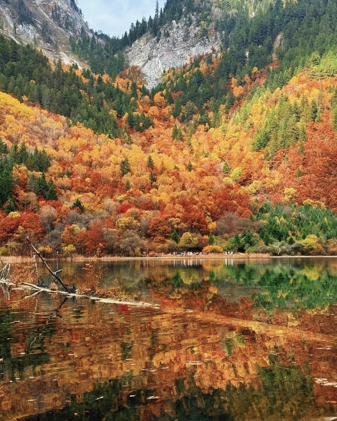1080x1350 Jiuzhai Valley (Jiuzhaigou)