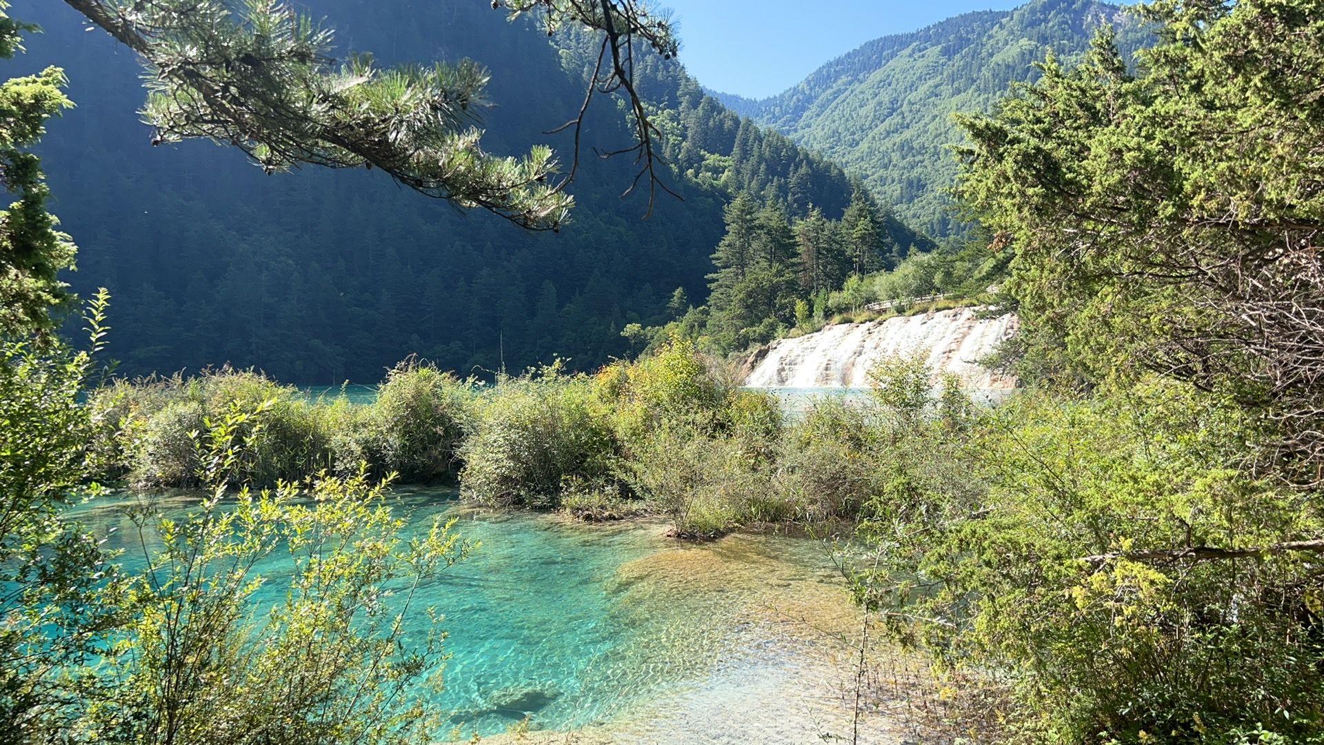 1920x1080 Jiuzhaigou is breathtaking! Follow the Trip.com list and book a VIP minibus for the morning!. Trip.com Jiuzhaigou