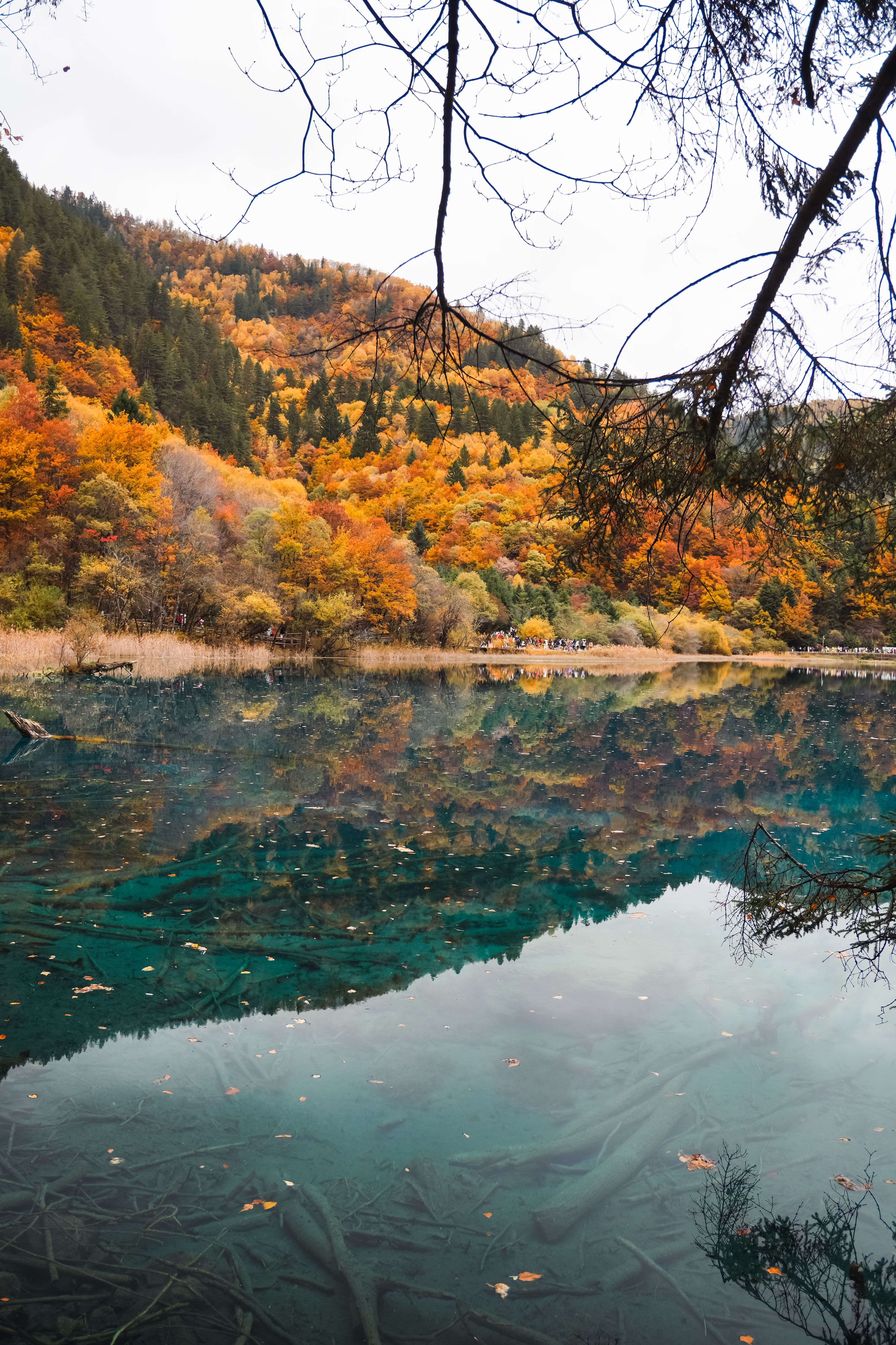 3894x5841 Jiuzhaigou Valley Photo, Download The BEST Free Jiuzhaigou Valley & HD Image