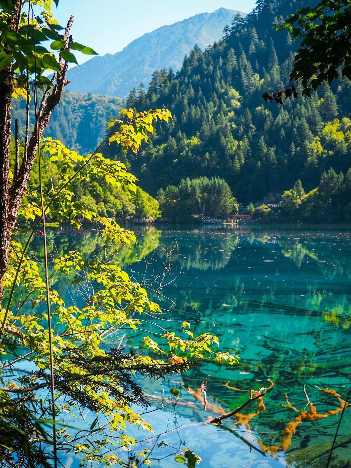 1184x1579 A Fairy Tale Come to Life: My Honest Review of Jiuzhaigou. Trip.com Jiuzhaigou
