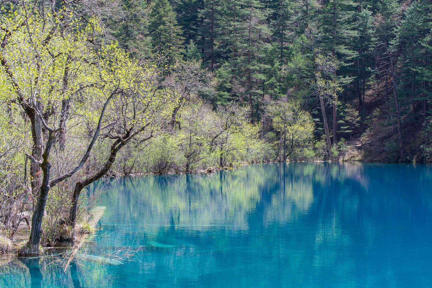 1500x1002 Juizhai Valley National Park, hidden photography dreamland in China