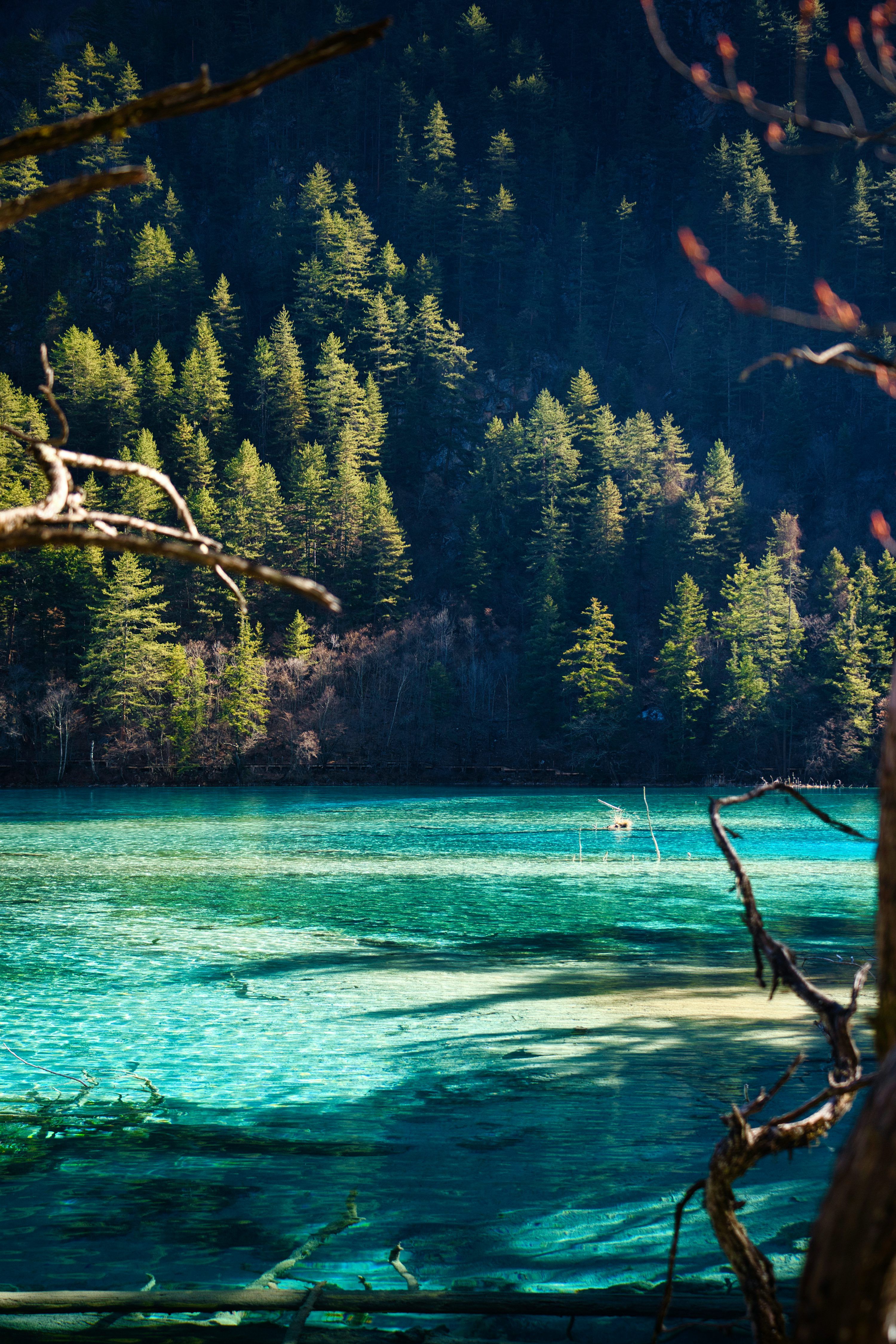 3000x4500 Jiuzhaigou Picture. Download Free Image