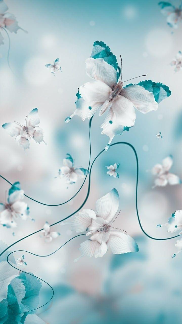 Turquoise Flower iPhone Wallpapers Top Free Turquoise Flower iPhone