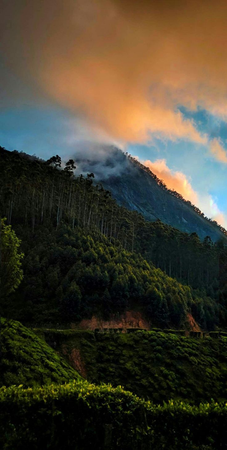736x1457 Karnataka photography