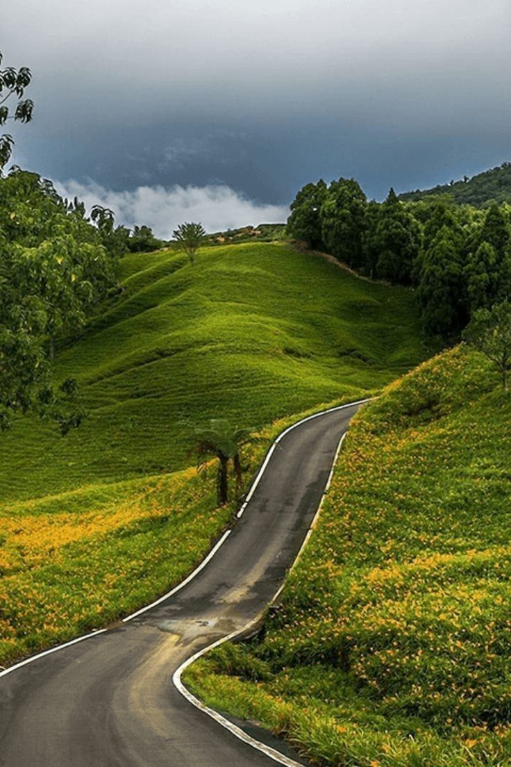 736x1104 Coorg, Karnataka: The Scotland of India. Winding country road view, Long winding road through countryside, Winding road nature scene