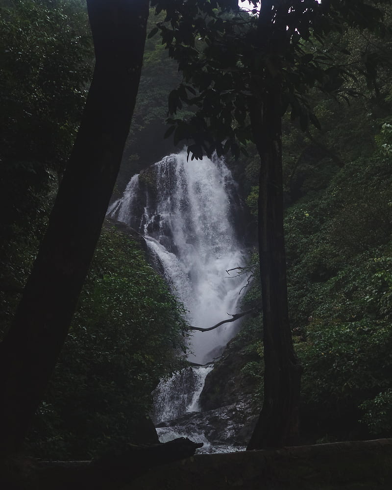 800x1000 Waterfalls, fall, falls, india, karnataka, mountains, sahyadri, uttarakannada, HD phone wallpaper