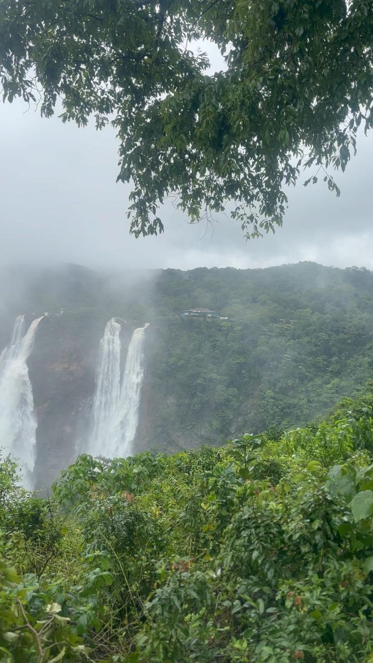 736x1308 Jog falls
