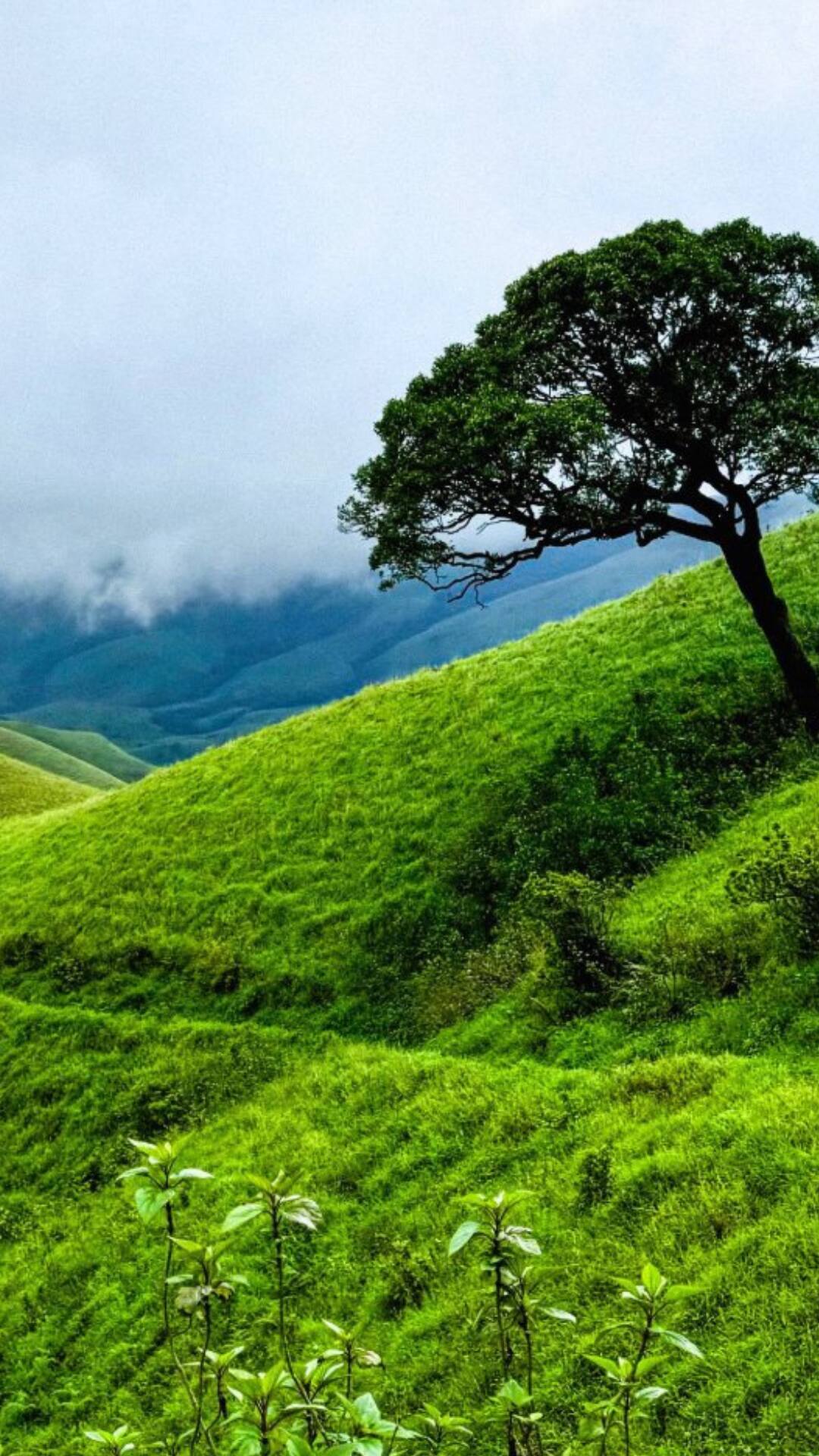 1080x1920 Must Visit Places Of Karnataka For An Unforgettable Trip