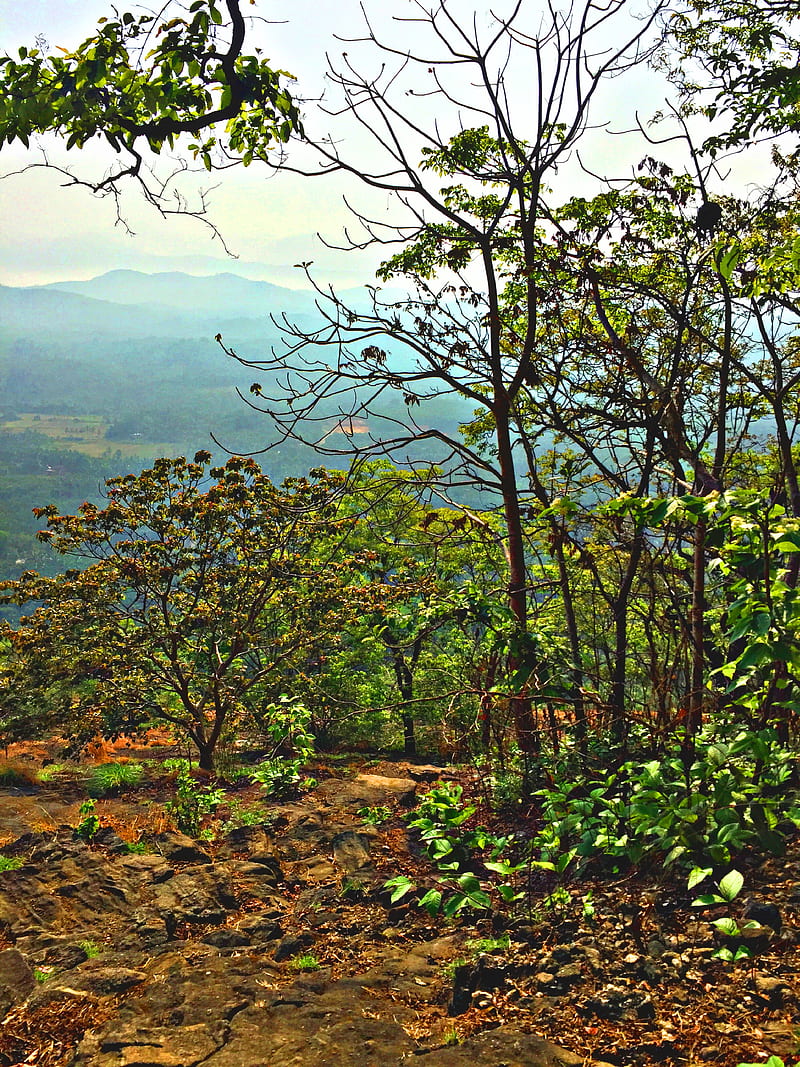 800x1067 HD india. karnataka wallpaper