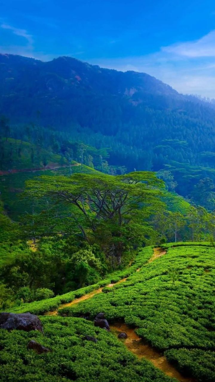 720x1280 Best Places To Visit In Karnataka Under 10k