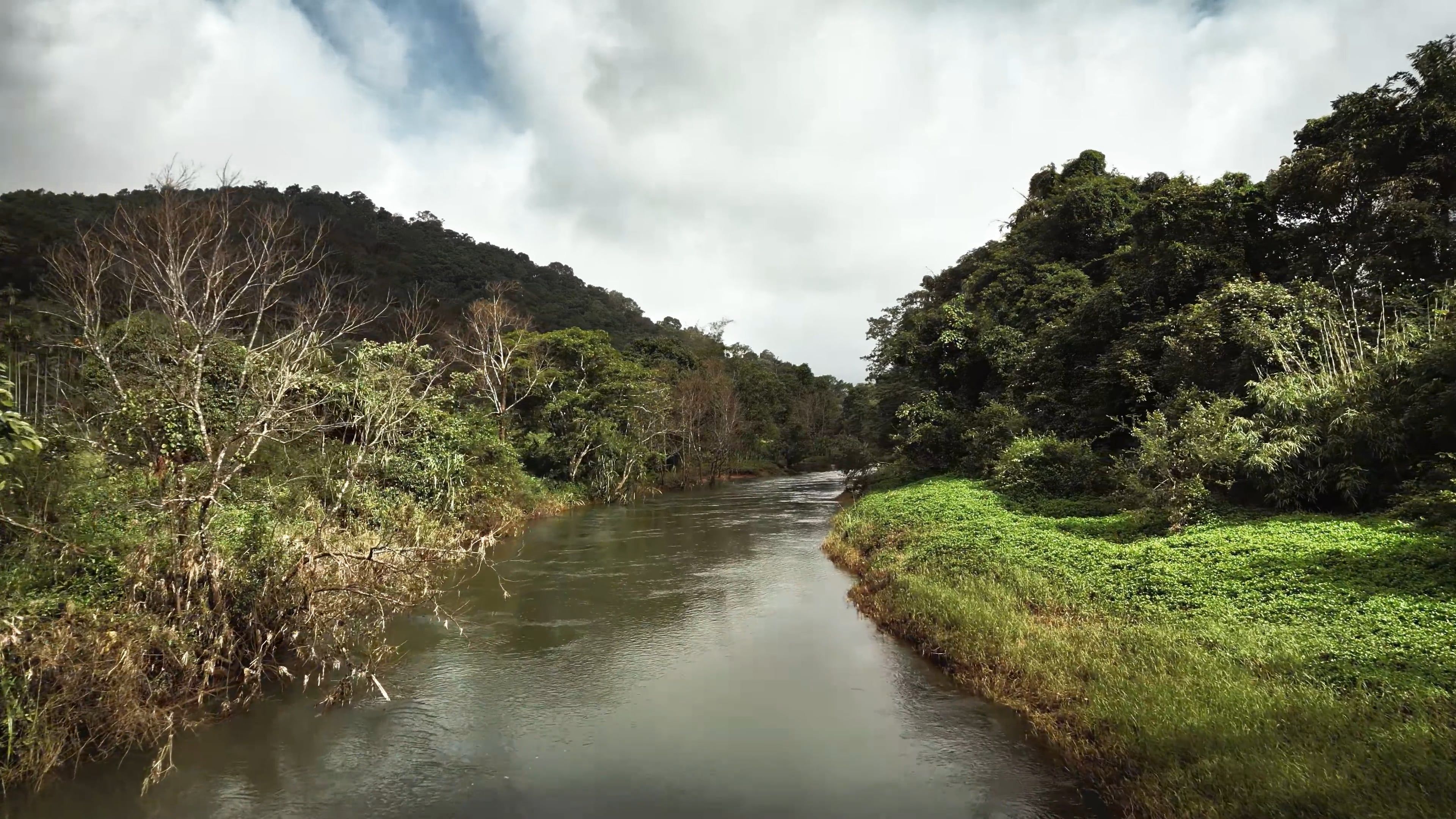 3840x2160 A river running through a lush green forest
