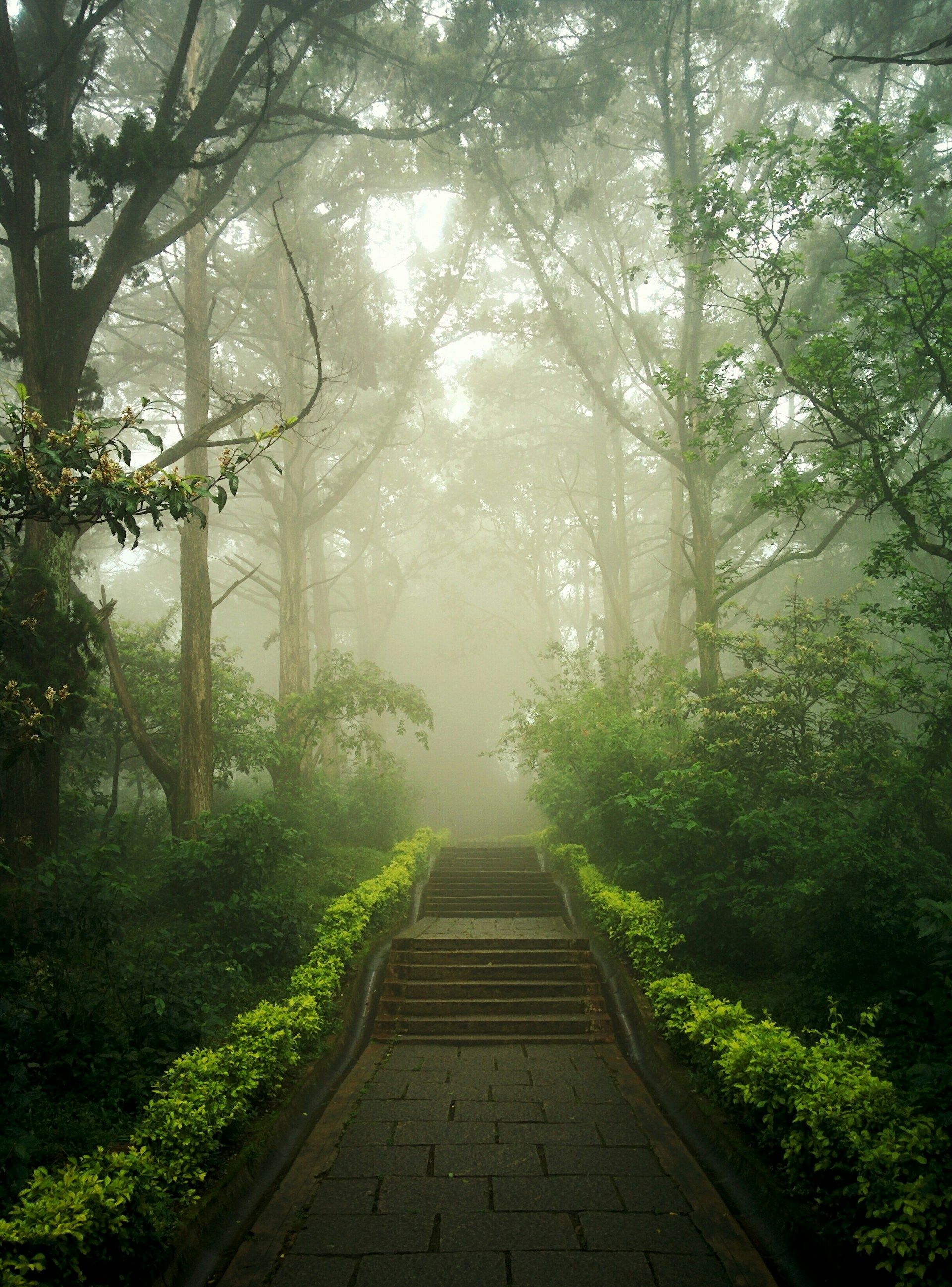 1920x2594 5. Best of Karnataka. S R HOLIDAYS