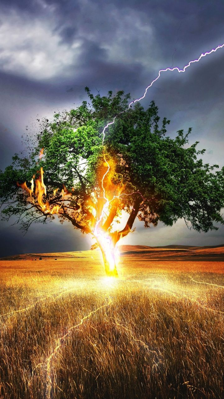 720x1280 la puissance de la nature