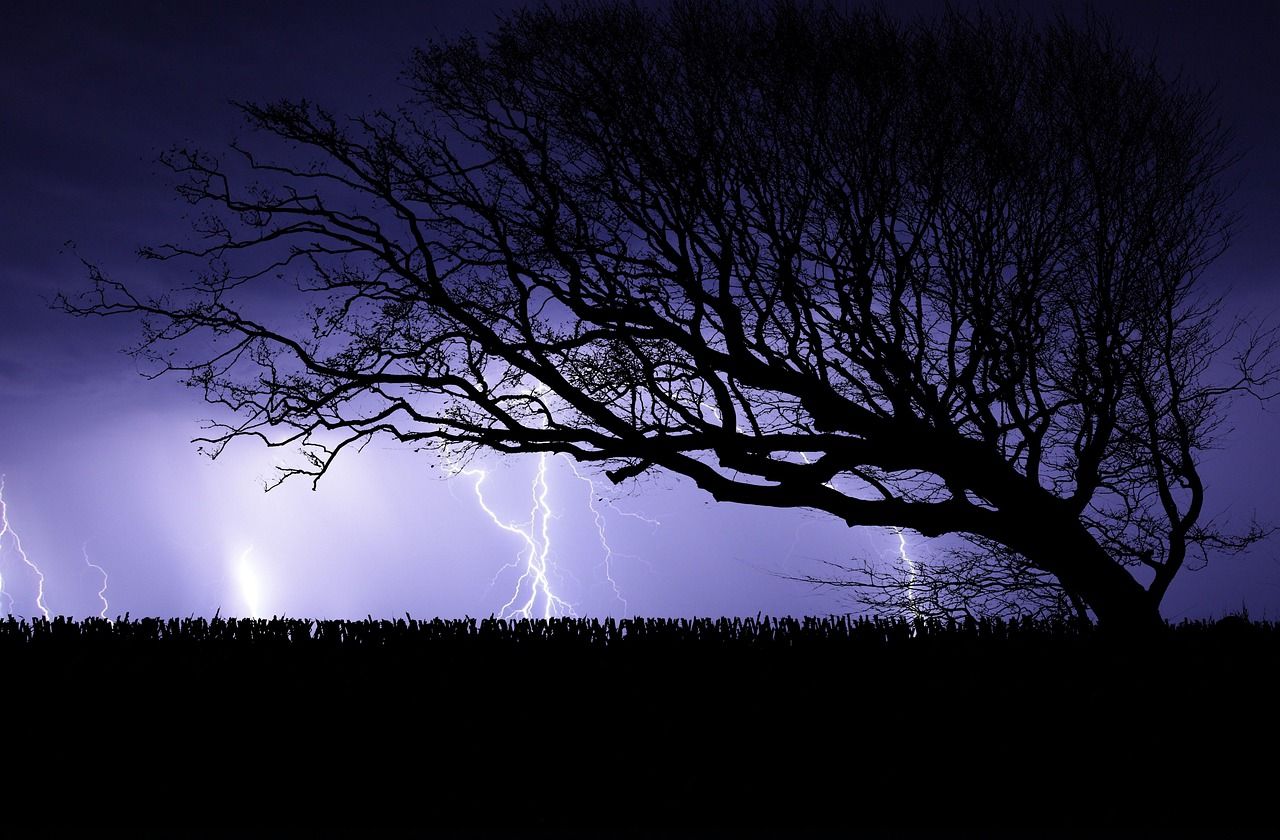 1280x840 Tree Storm Lightning