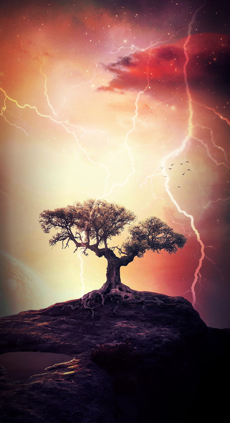 800x1472 Nature, nature, tree, lightning, HD phone wallpaper