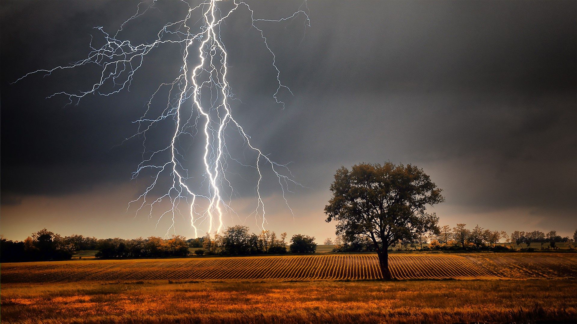1920x1080 Free grass, storm Full HD wallpaper for desktop and phone