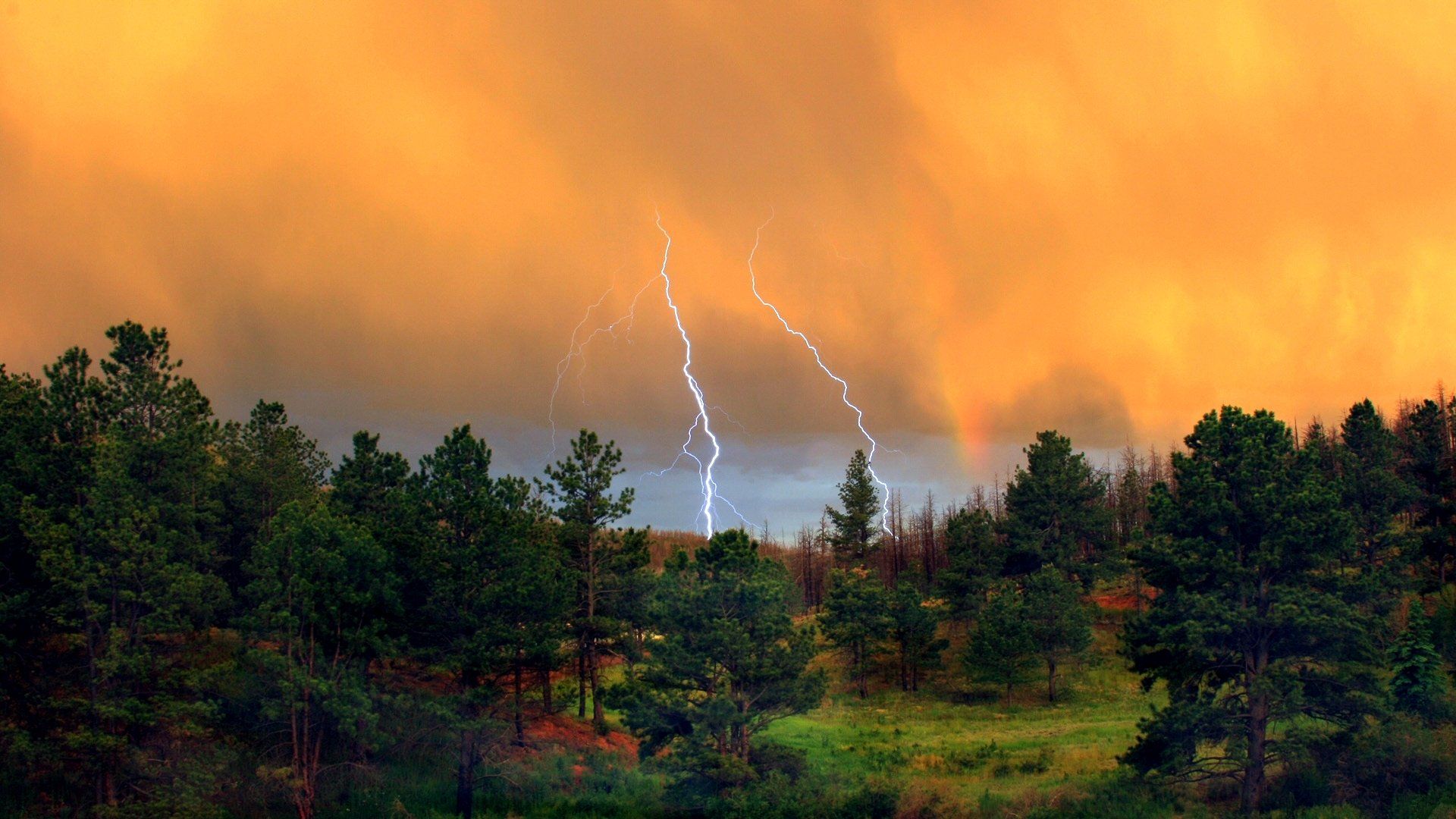 1920x1080 Nature's Fury: Stunning Lightning HD Wallpaperx1080